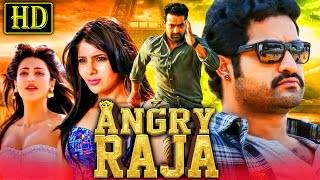 Angry Raja HD Romantic Hindi Dubbed Movie  Jr NTR Samantha Shruti Haasan [upl. by Derwin]