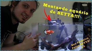 Como montar um aquário de BETTA para INICIANTES [upl. by Akiret]