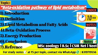 Betaoxidation pathway of lipid metabolism  Beta oxidation process  lipid metabolism [upl. by Yeblehs]