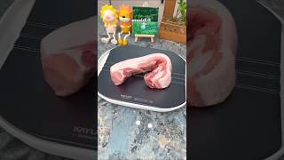 defrost meat defrost anything coolgadgets homegaget [upl. by Bishop36]