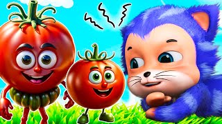 আহা ট্যামাটার  Aaha Tamatar bada mazedaar  Aye Bristi Jhepe  Jugnu Kids Bangla Nursery Rhymes [upl. by Kaya]