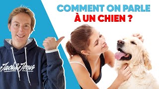 Comment On Parle À Un Chien [upl. by Edmon244]