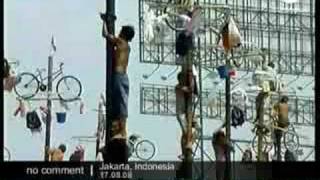 Palm tree trunk climbing in Indonesia [upl. by Anay]