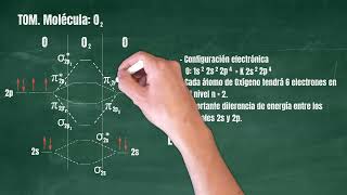 30 Teoría de Orbitales Moleculares Molécula O2 [upl. by Erialb]