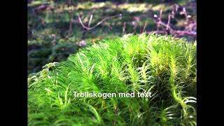 Trollskogen med text [upl. by Jeffery]