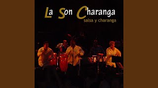 Salsa y Charanga [upl. by Frodeen]