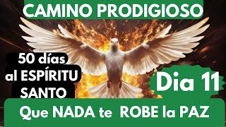 DIA 11🔥❤️ CAMINO PRODIGIOSO 50 días con el ESPÍRITU SANTOQ Nada te robe la PAZ [upl. by Glen]