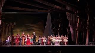 Polina Semionova amp Michal Krcmar Don Quijote curtain call [upl. by Yngiram]