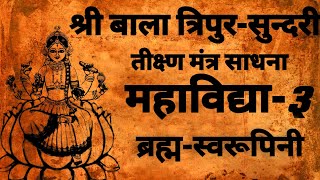 Shodashi sadhana  षोडशी महाविद्या साधना  बाल त्रिपुरा सुन्दरी  sadhna [upl. by Bandler]