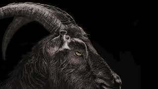 ASMR But Its Just Black Phillip Asking If Wouldst Thou Like To Live Deliciously for 666 [upl. by Lateh]