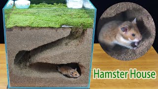 how to make diy hamster hideouthow to make hamster house in aquarium [upl. by Blum571]