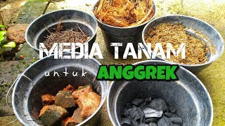 MEDIA TANAM UNTUK ANGGREK [upl. by Darwin]