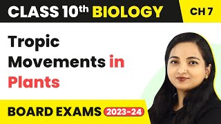 Tropic Movements in Plants  Control and Coordination  Class 10 Biology Chapter 7 [upl. by Elleuqar]