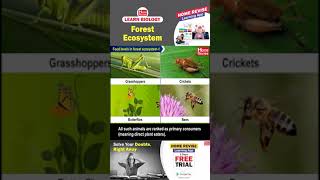 Forest Ecosystem  Learn Biology with Home Revise [upl. by Giacinta]