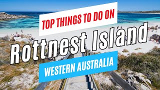 Top Things to Do on ROTTNEST ISLAND in ONE DAY Western Australia in 2024  Rottnest Travel Guide [upl. by Laurella]