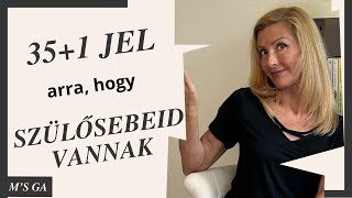 351 jel arra hogy szülősebeid vannak [upl. by Naenej]