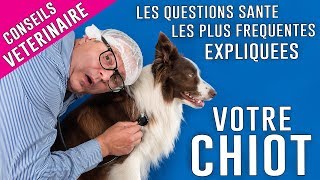 SUPER conseils pour la SANTÉ et le BIEN ÊTRE de votre CHIOT [upl. by Ellives923]