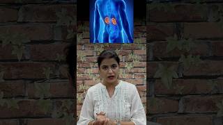 Excretory System Explained Kidney Ureter Bladder Urethra biology excretorysystem [upl. by Corsetti177]