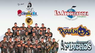 Bandas Viejitas Pero Bonitas Movidas Mix 2024  Banda Machos Cuisillos Maguey Pequeños Musical [upl. by Asikal401]