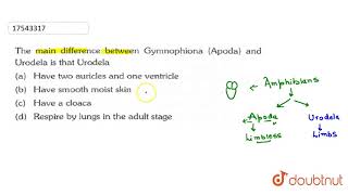 The main difference between Gymnophiona Apoda and Urodela is that Urodela [upl. by Atiruam]