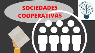 LAS SOCIEDADES COOPERATIVAS [upl. by Yecniuq937]