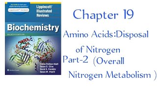 Ubiquitin proteasome proteolytic pathway Overall nitrogen metabolism part2 chapter 19 Lippincott [upl. by Gnuh791]