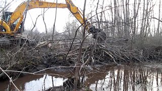 Бобры не ожидали что мы доберёмся до этой плотины [upl. by Bartram]