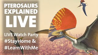 Pterosaurs Explained LIVE StayHome amp LearnWithMe [upl. by Nevaeh332]