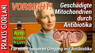 VORSICHT Geschädigte Mitochondrien durch Antibiotika [upl. by Ancalin]