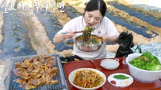 Real Mukbang Korean BBQ amp Cold Kimchi Noodles eaten at a country house ☆ Soju [upl. by Matt]