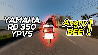 RD 350 YPVS  ANGRY BEE sound [upl. by Nerak]