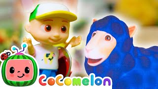 Baa Baa Wooly Black Sheep  🐑🎀  Toy Play Learning  CoComelon Nursery Rhymes amp Kids Songs [upl. by Idnir]