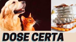 VERMIFUGO PARA CACHORRO ADULTO E FILHOTE CÃƒO COM VERMES MELHOR REMÃ‰DIO DIARREIA E DOR DE BARRIGA [upl. by Basil545]