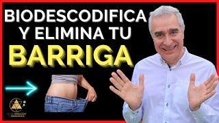 Qué Significa La Barriga En Biodescodificación Transgeneracional Y Cómo Perder Panza [upl. by Nylodam]