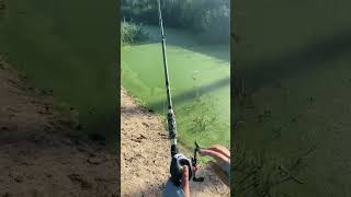 Another type of fishing rod viralvideo youtubeshorts [upl. by Shirleen]