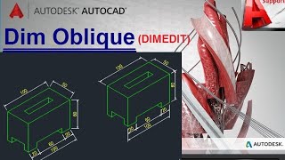 Dim Oblique Command in AutoCad II HindiUrdu [upl. by Yenaiv]