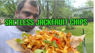 Saltless Jackfruit Chips [upl. by Inalel]