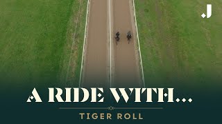 A RIDE WITH TIGER ROLL TWOTIME GRAND NATIONAL WINNER [upl. by Brownson]