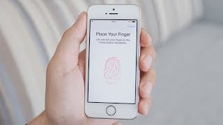 How Does Fingerprint Scanning Work [upl. by Munmro]