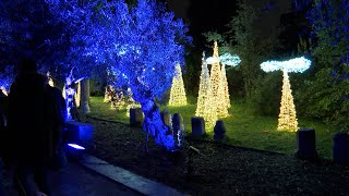 Naturaleza encendida vuelve a iluminar el Jardín Botánico [upl. by Greenland]