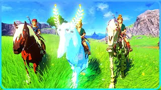 ALL Horses Showcase Zelda Tears of the Kingdom [upl. by Atteuqram503]