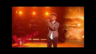 Daniel Balavoine  SOS dun terrien en détresse  Soan  The Voice Kids France 2019  Finale [upl. by Burnley886]