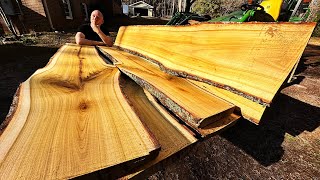 Milling 5 Poplar Logs with my WoodMizer LX55 Sawmill How Many Slabs can I get out of them [upl. by Cirded]