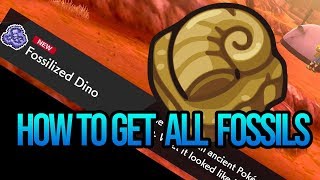 How To Get All Fossils Locations  Fossilized Dino amp Birds  Pokemon Sword and Shield [upl. by Razaile]