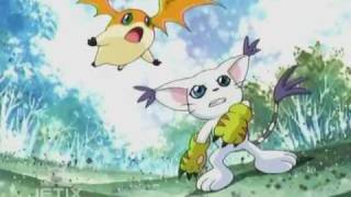 Patamon and Gatomon  English version [upl. by Gibun32]