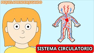 El sistema circulatorio para niños Video de Peques Aprenden Jugando [upl. by Durno]