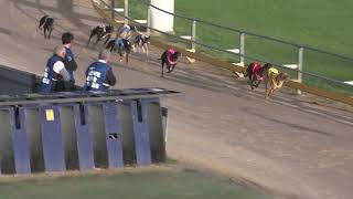 Gawler04102024Race8 [upl. by Nahsar]