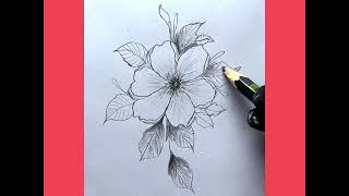 Flower drawing tutorial for beginners pencil sketch [upl. by Batha]