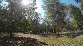 Charlie Moreland Camp Ground Imbil State Forest Sunshine Coast Hinterland Qld [upl. by Ahsaetal]