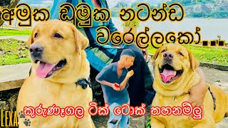 අමුක ඩුමුක නටමුදෝamuku dumuku damal dumal [upl. by Radley]